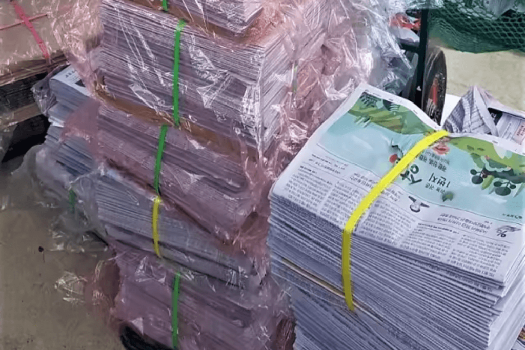 ban-giay-bao-cu-gan-day