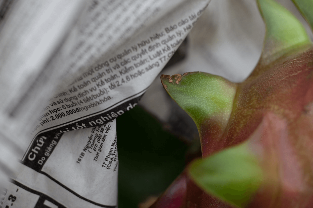 giay-bao-goi-trai-cay-00004