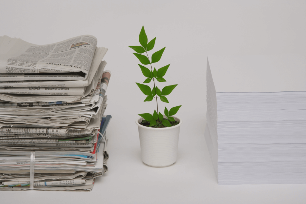 giay-bao-lot-thach-dua-00003